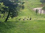 IMG 20260605 183718